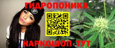 ПСИЛОЦИБИНОВЫЕ ГРИБЫ Кимры