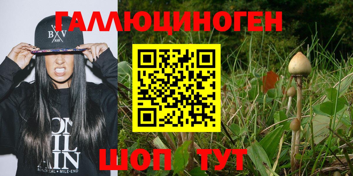 Псилоцибиновые грибы Magic Shrooms  Псилоцибиновые грибы прущие грибы  Лесной  как найти наркотики  Вход с VPN 