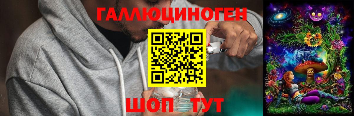 Галлюциногенные грибы мухоморы Лесной