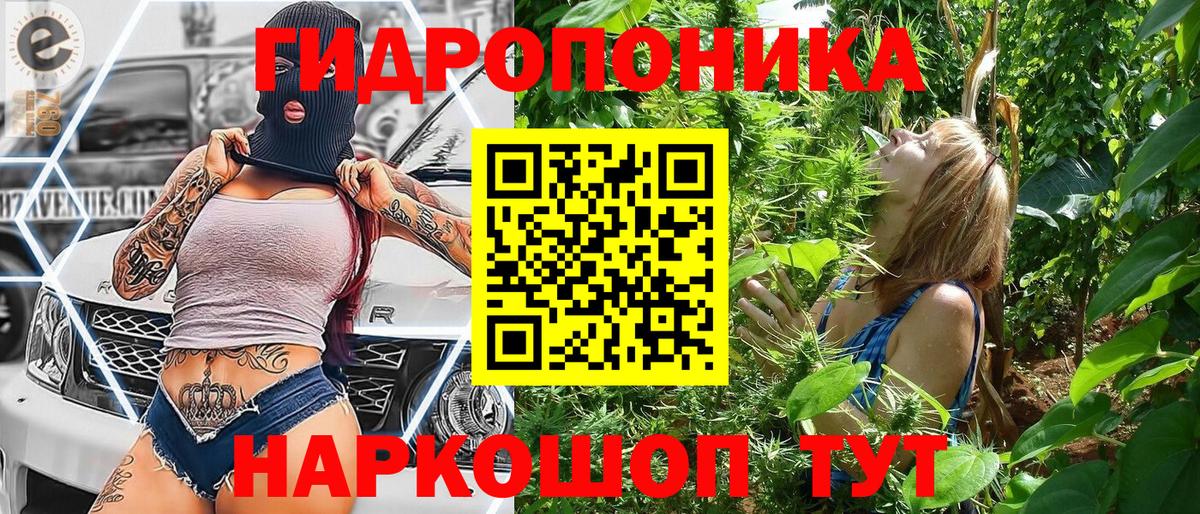 Бошки Шишки White Widow Лесной